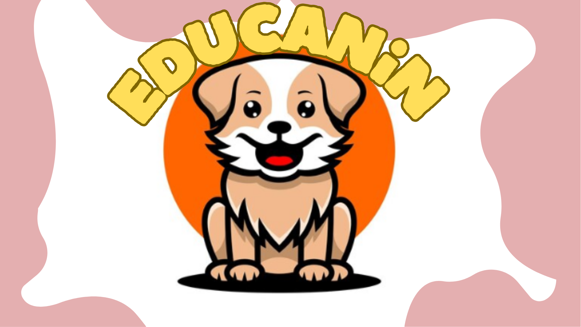 projet educanin